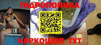 шишки Краснодар
