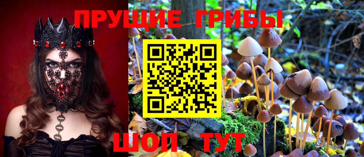 Галлюциногенные грибы ЛСД  как найти наркотики  Азов  Вход с VPN 